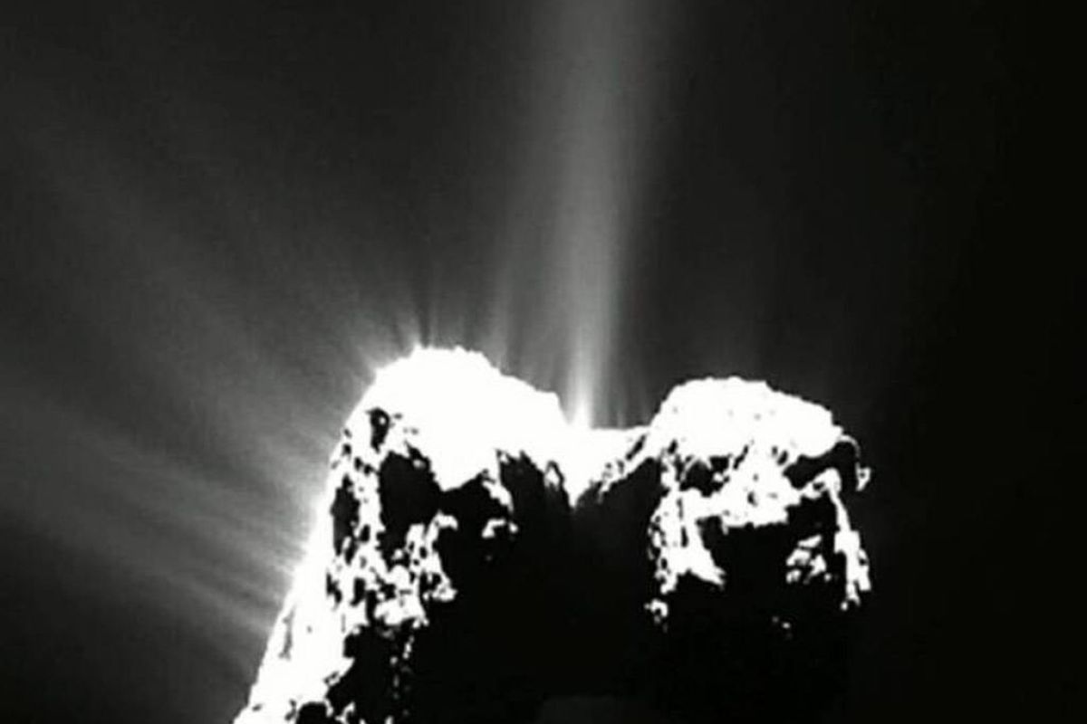 ef2671ed9fd0202f1e51b9be767e45ca XL 28d0764e