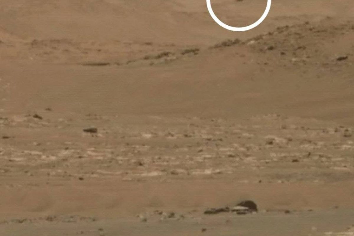 bcd1f8c06d259970a0c5d6cdd8b86ea0 XL 2906cf1e