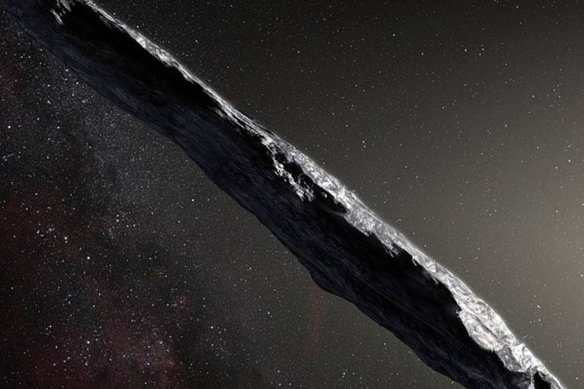 bda32ddd0f20d9cd8a28bb8b299417fc XL 294b9499