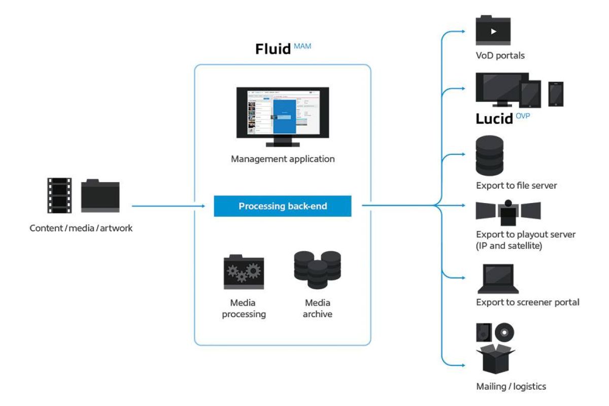 fd1bc1596c8a6a0a55119f8ecb0beca5 XL 29d3ed12