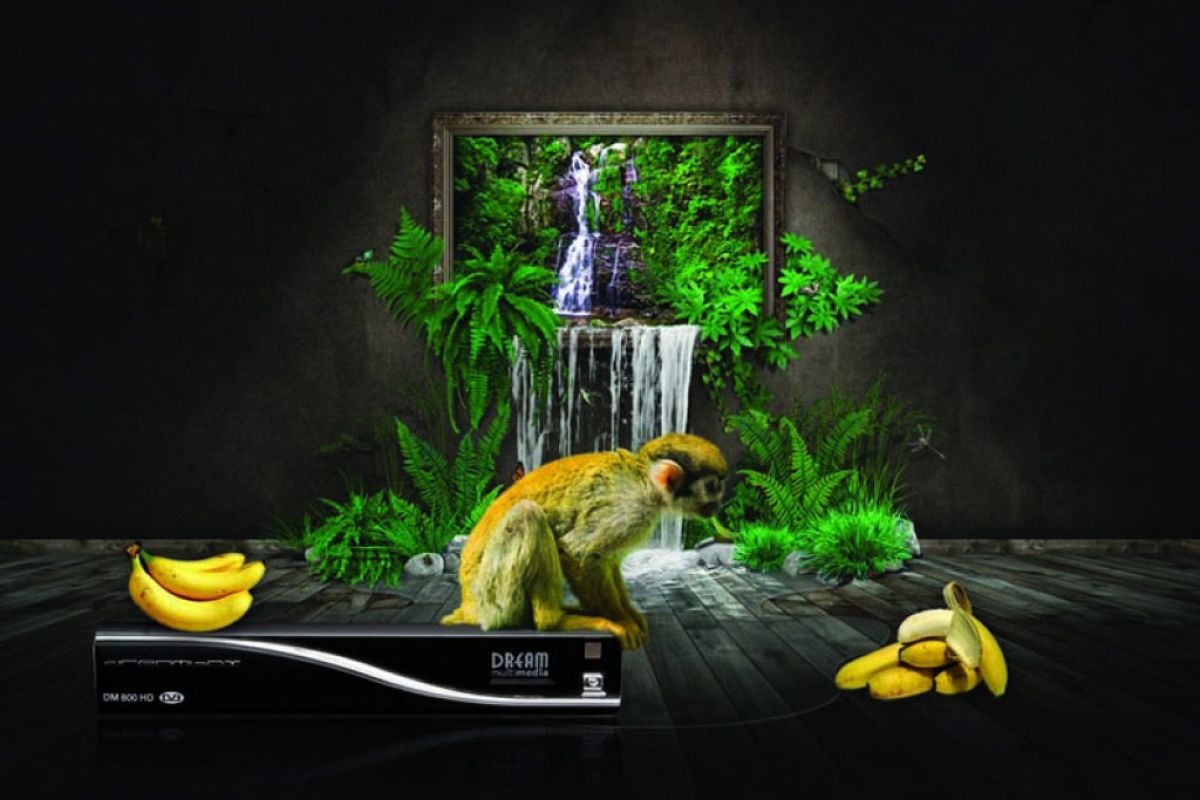 43c752d880d6053d20548b9508b60b5d XL 2a0a3ab7