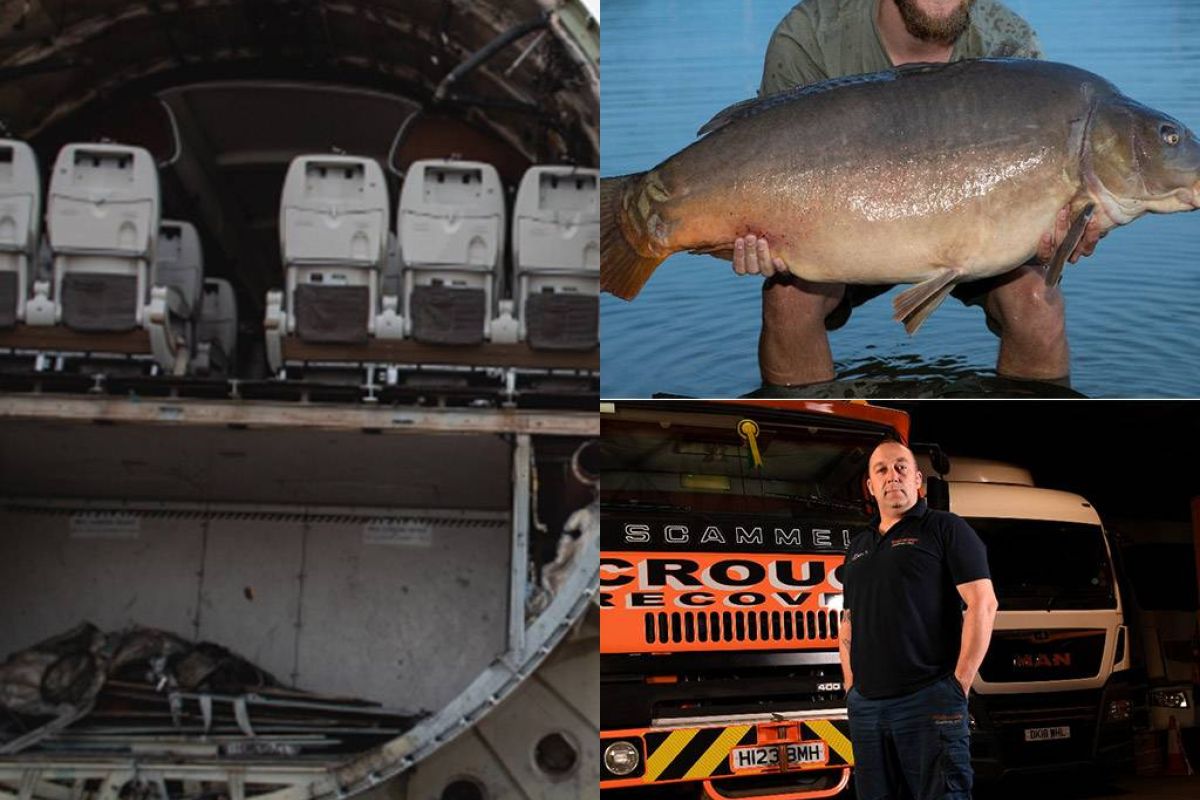 d1356a3bca8cfa0dfa9fd0d3ce0a3364 XL 2a7cd8f7