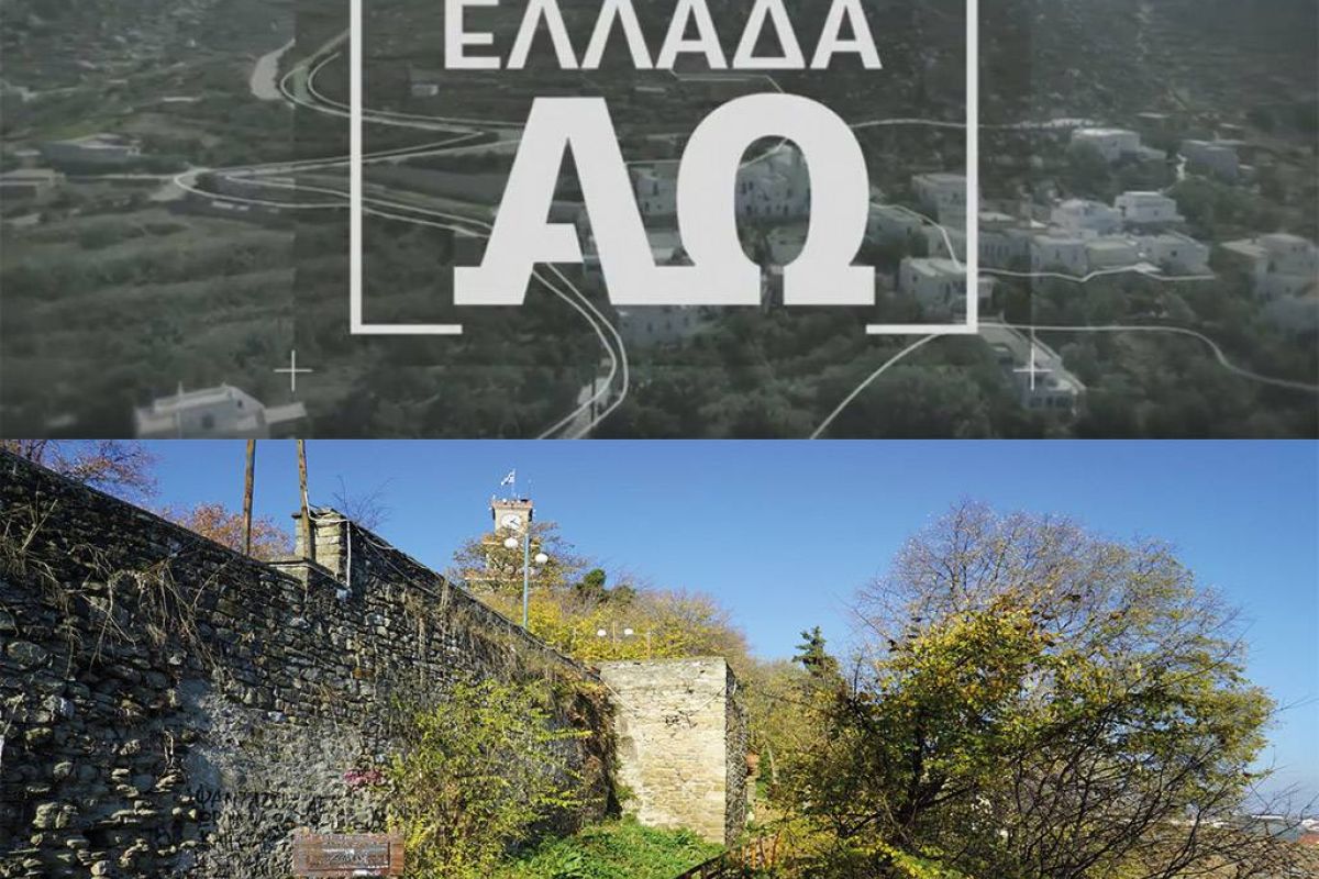 feb78be279471f36a2efaa49730038f2 XL 2a76fc37