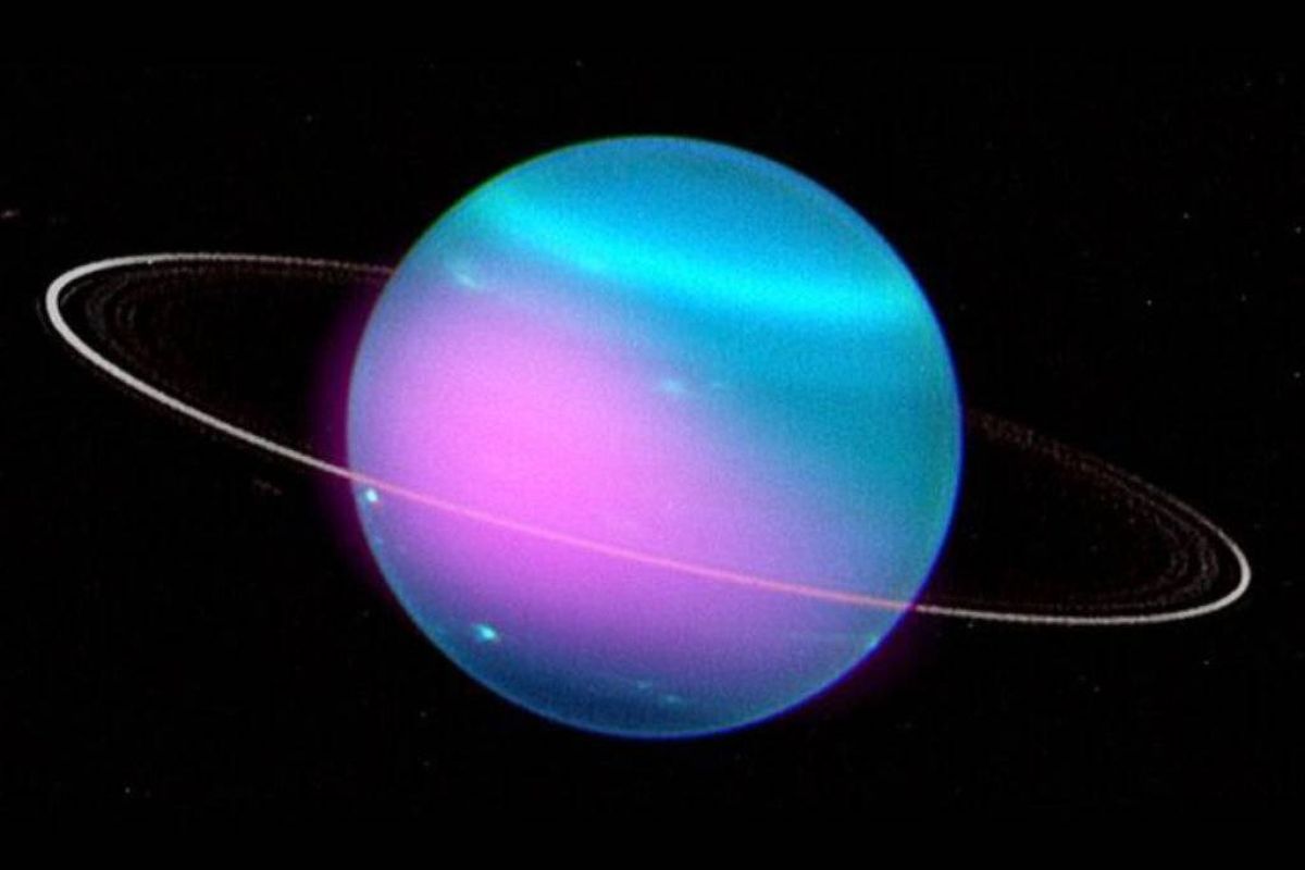 3ee9d55aebb9094ffd21b0529fe317fd XL 2b66c4d2