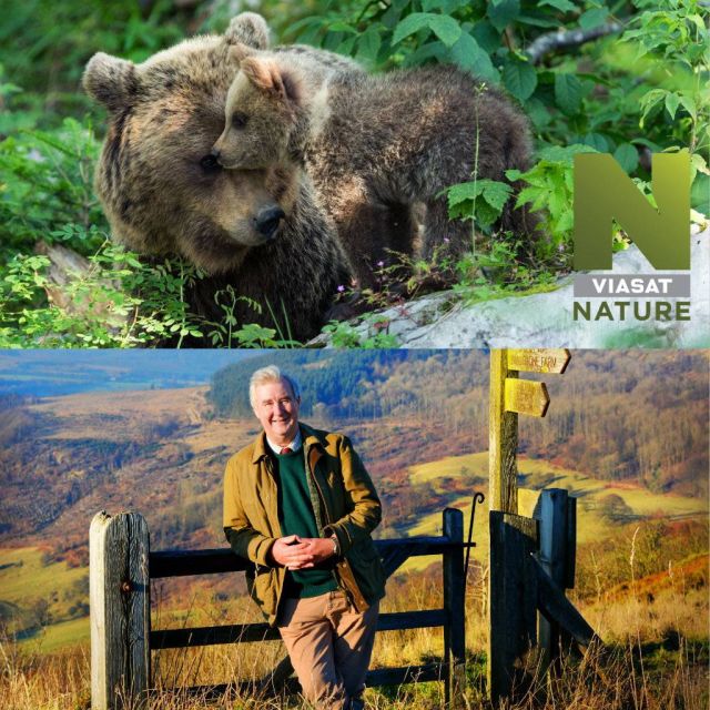 Οι αρκούδες επιστρέφουν το Μάιο στο Viasat Nature