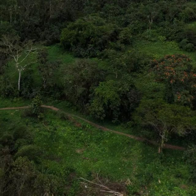 Το Survivor επιστρέφει στο Ηνωμένο Βασίλειο μετά από 20 χρόνια