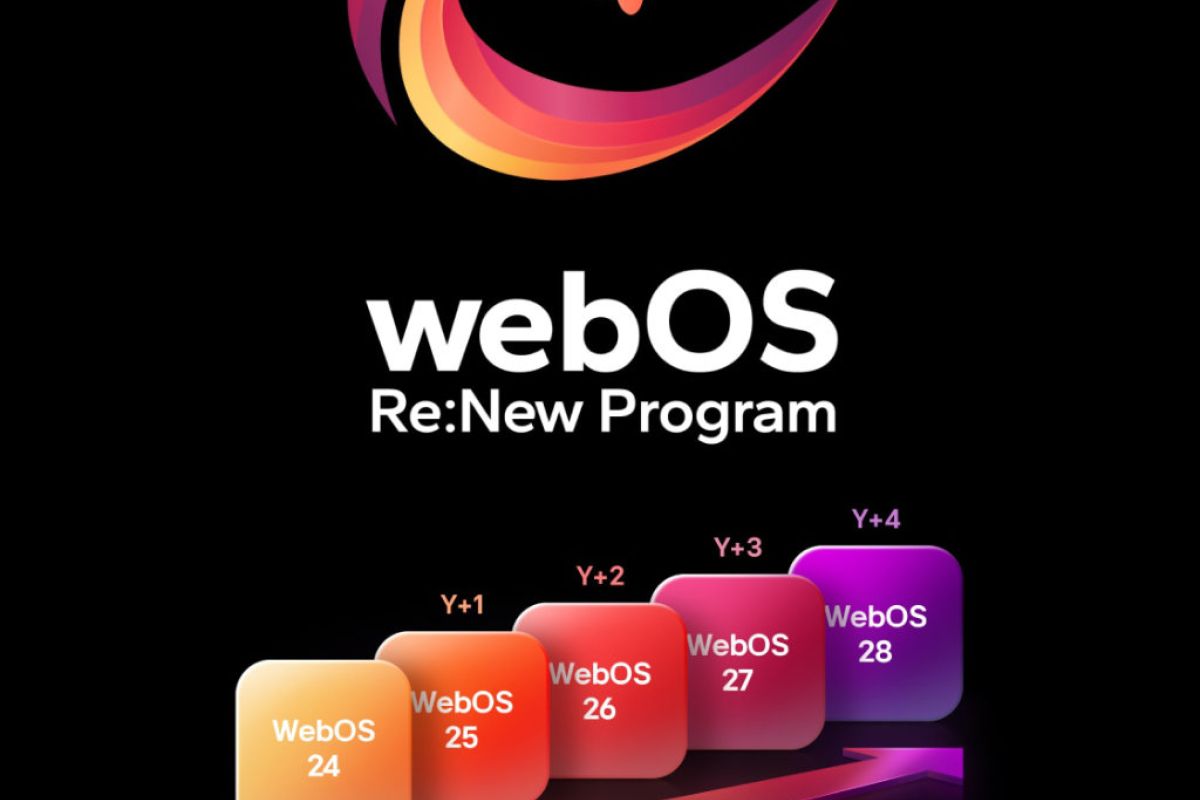 1024X1024 81 2ca87538