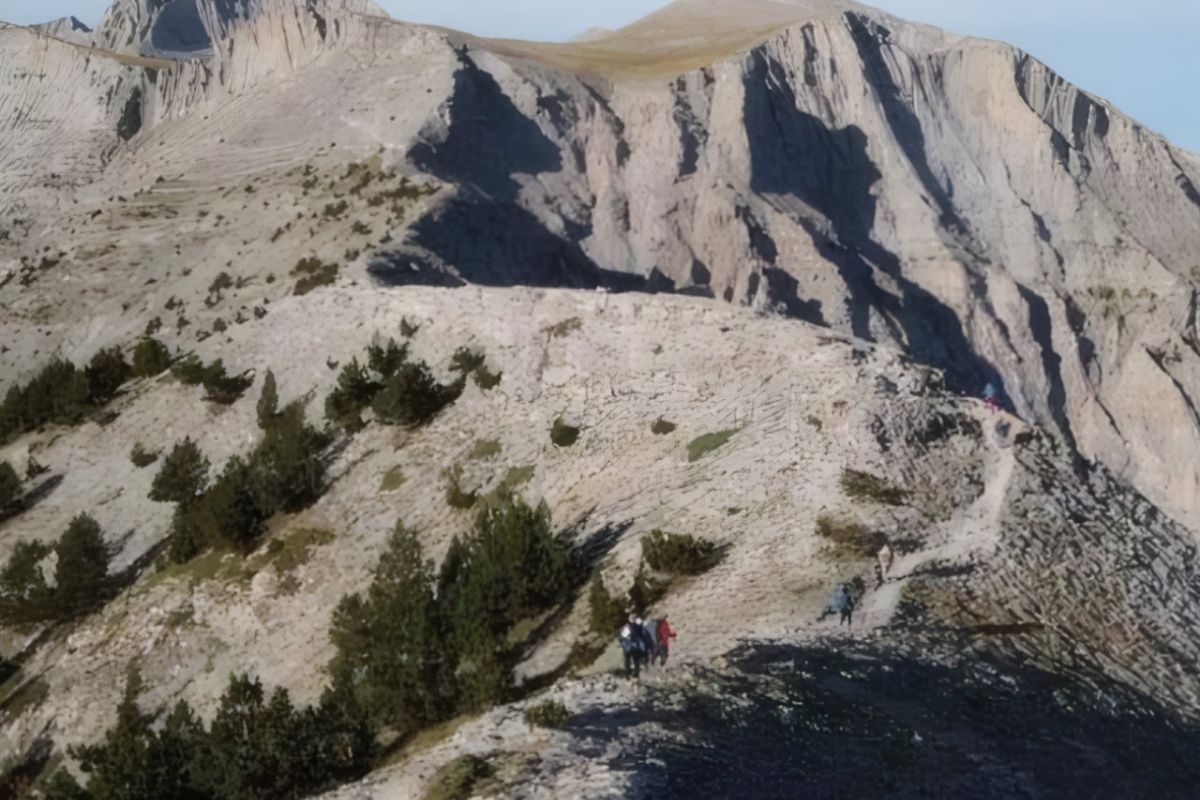 1280 square 46 2c62a354