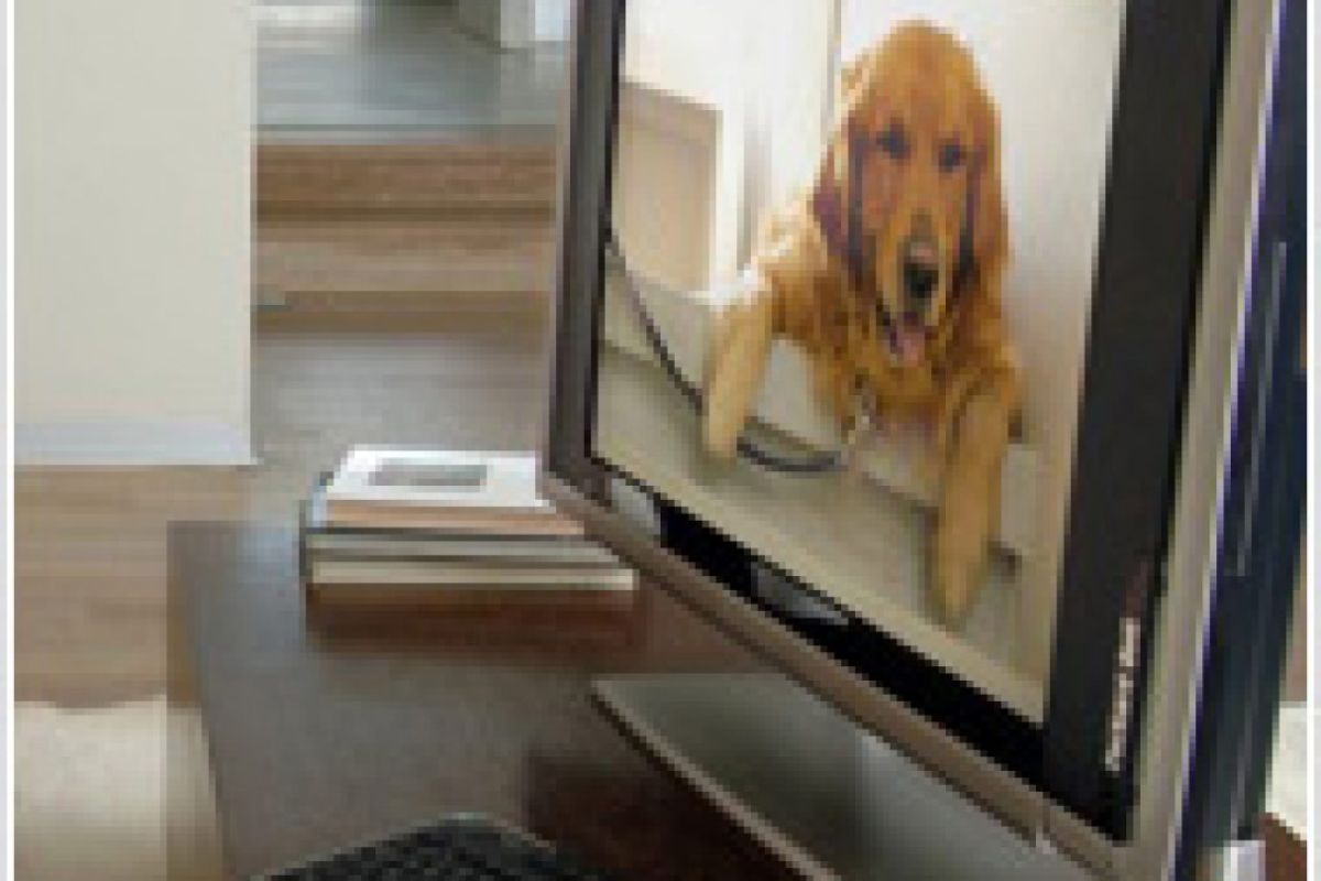 7260cbfd914be30cb6f02a858ccb3f60 XL 2cd89a59