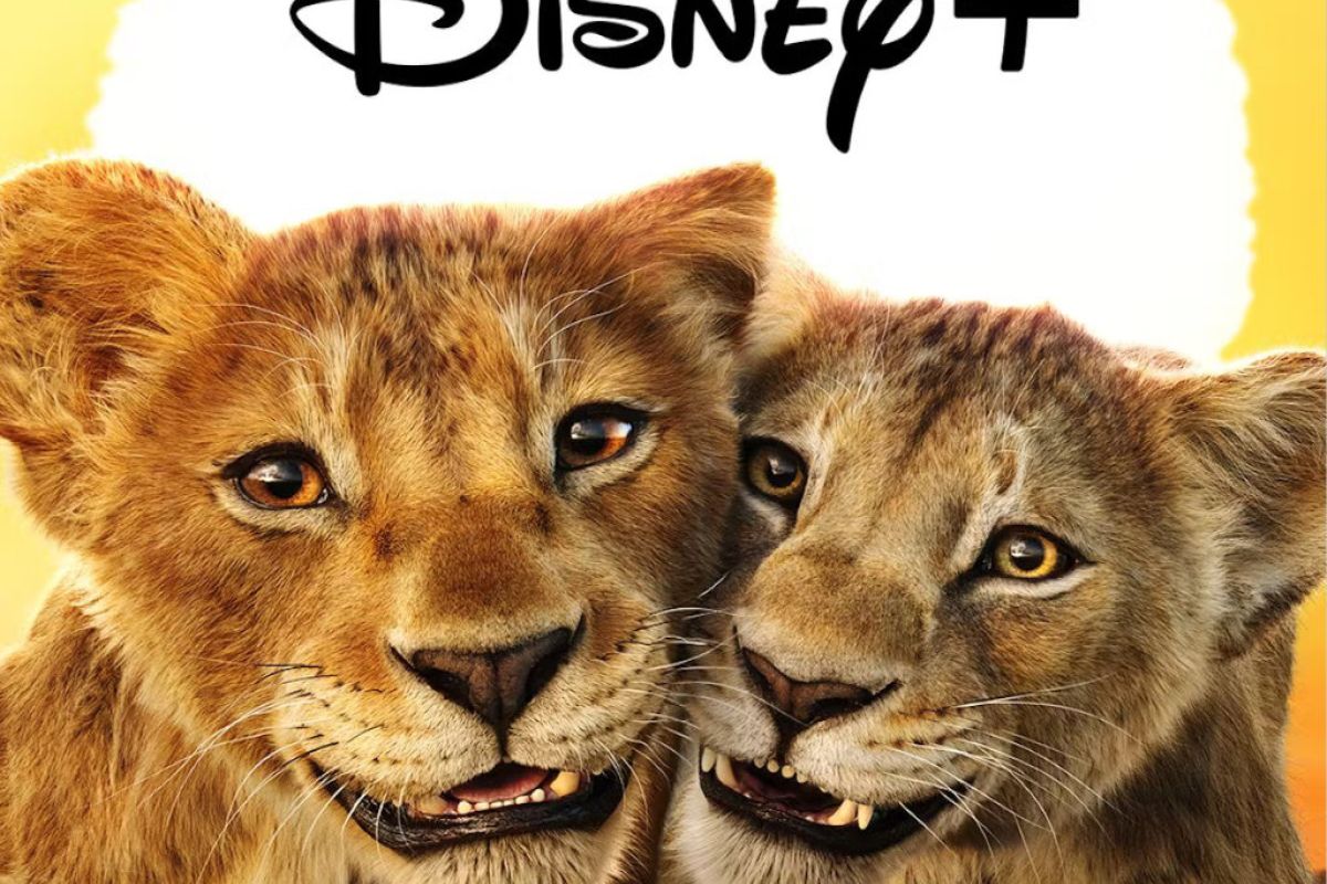 1024X1024 41 2d97bd56