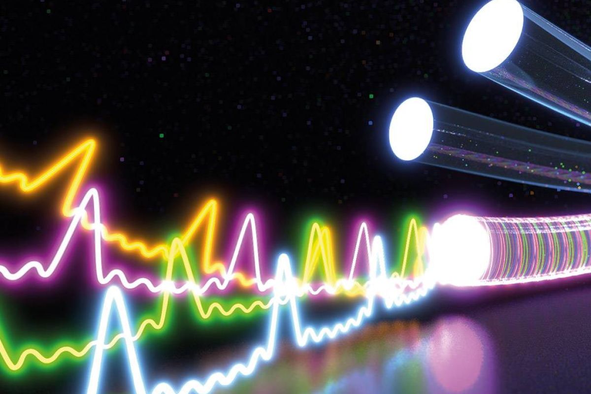 e51d3c65b3a6da2887ccff0df7bf5b09 XL 2d4120fe