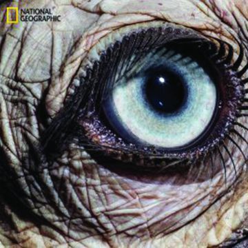 Η εξέλιξη της ανθρώπινης όρασης στο National Geographic Channel