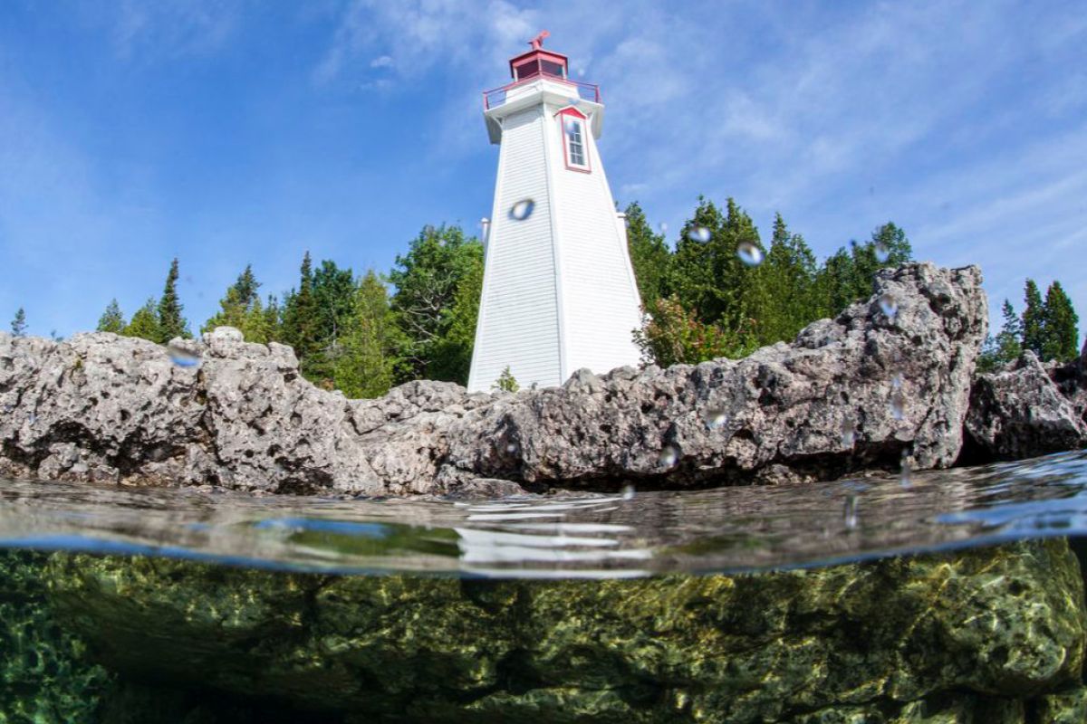 1024X1024 1 2fc7c8d9