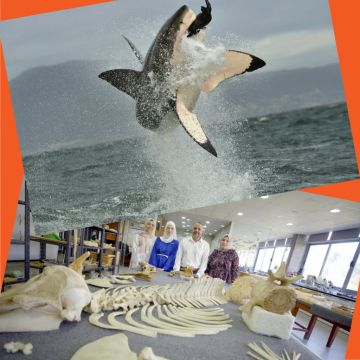 ΜΑΙΟΣ ΣΤΟ VIASAT NATURE