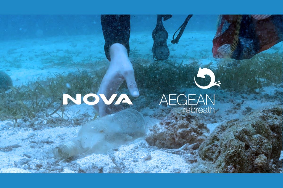 1024X1024 39 307c0279