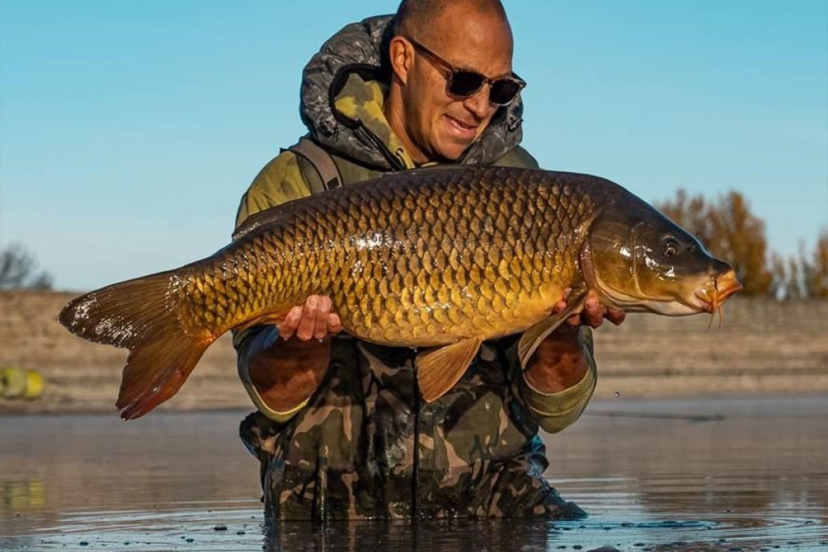 Untitled 1 7 3071c482