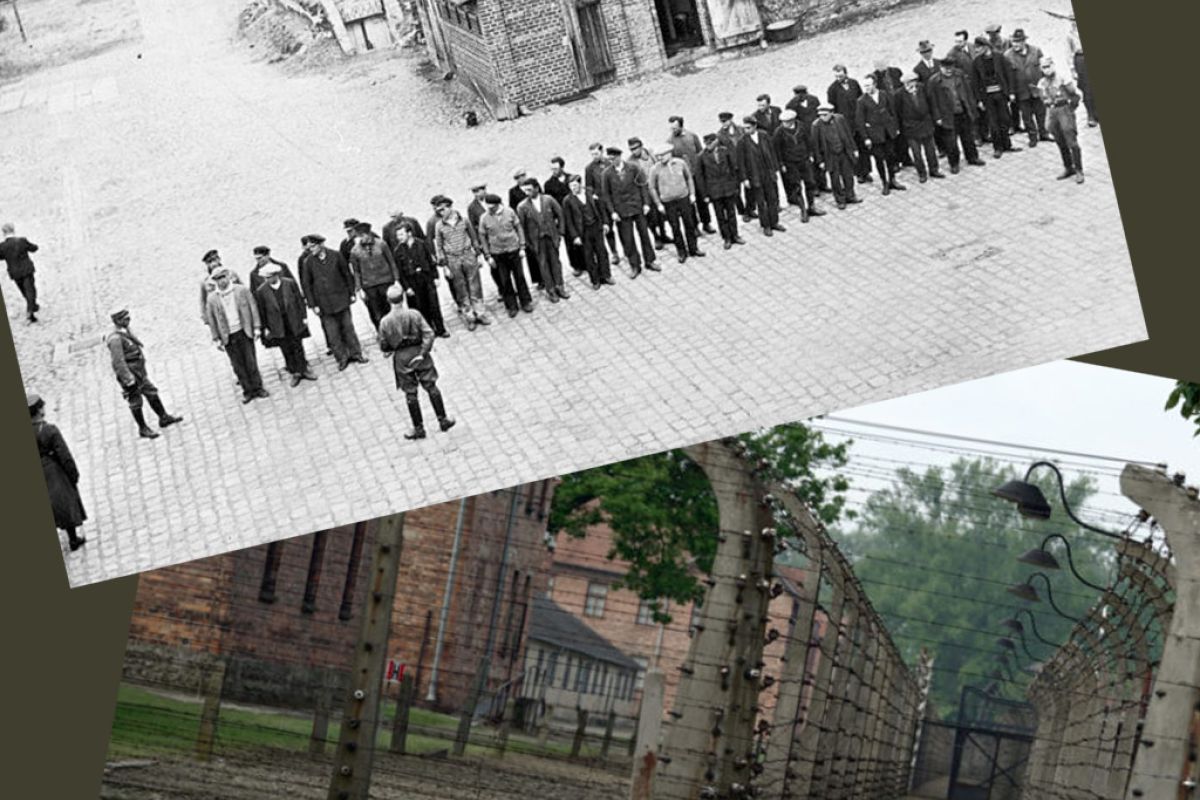 Ιστορικά Ντοκιμαντέρ- Τετάρτη 25 Οκτωβρίου 2023 στην ΕΡΤ3