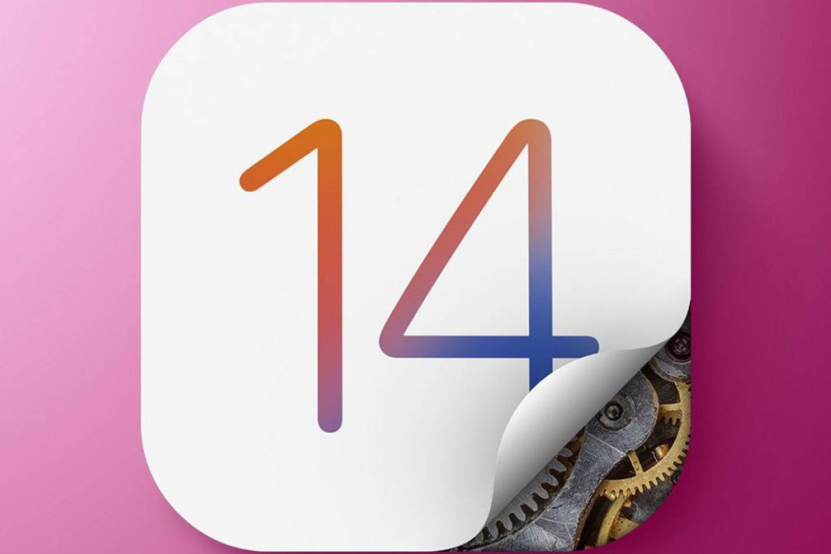 6557958452ee45347eb444073284cdd8 XL 31406c9b