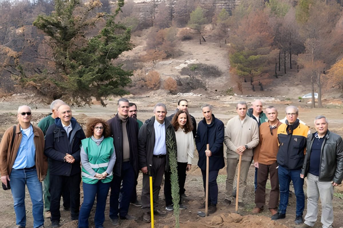 1024X1024 12 324a494e