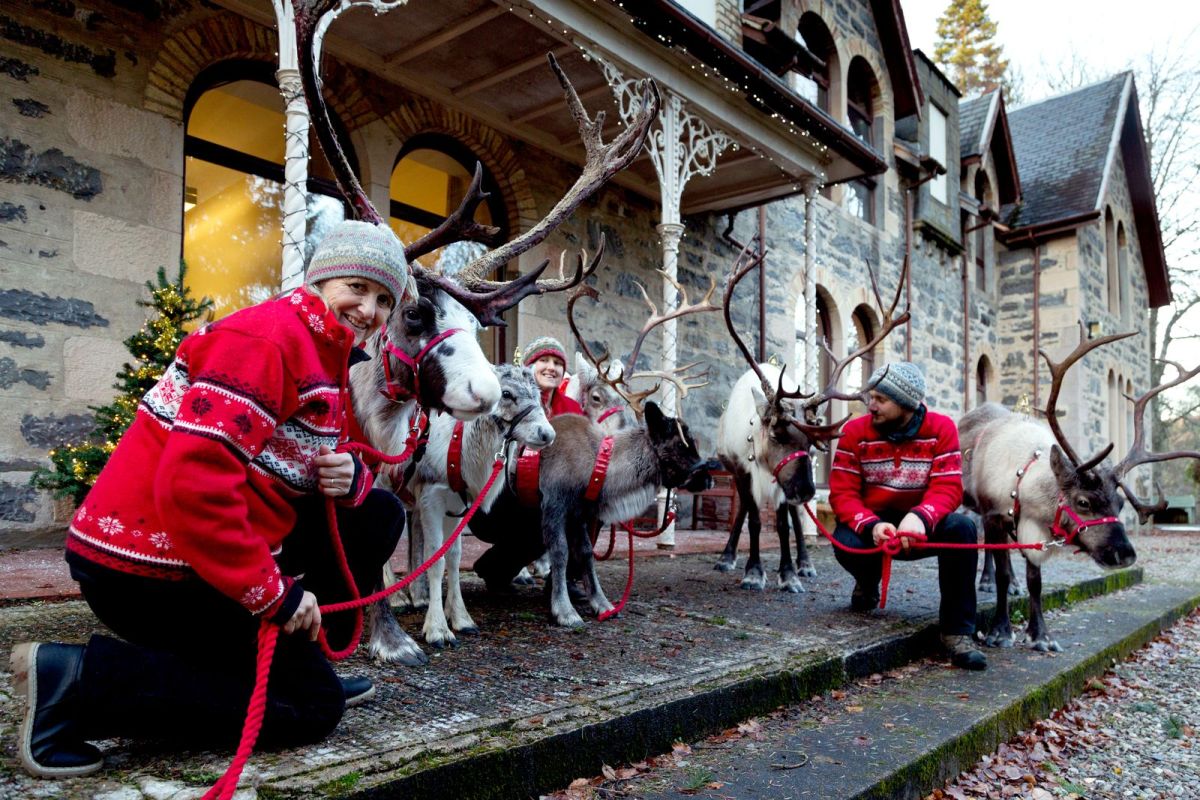 Viasat Nature A Baby Reindeers First Christmas 2 33d9ca09