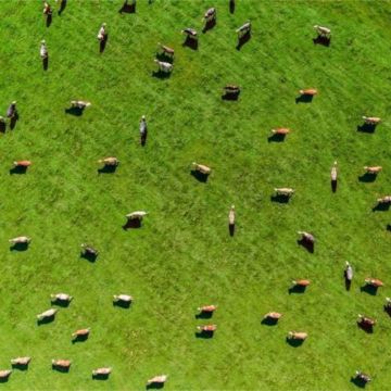 Το Vodafone Business πρόκειται να επιταχύνει τη βιώσιμη γεωργία στην Ευρώπη με το MyFarmWeb
