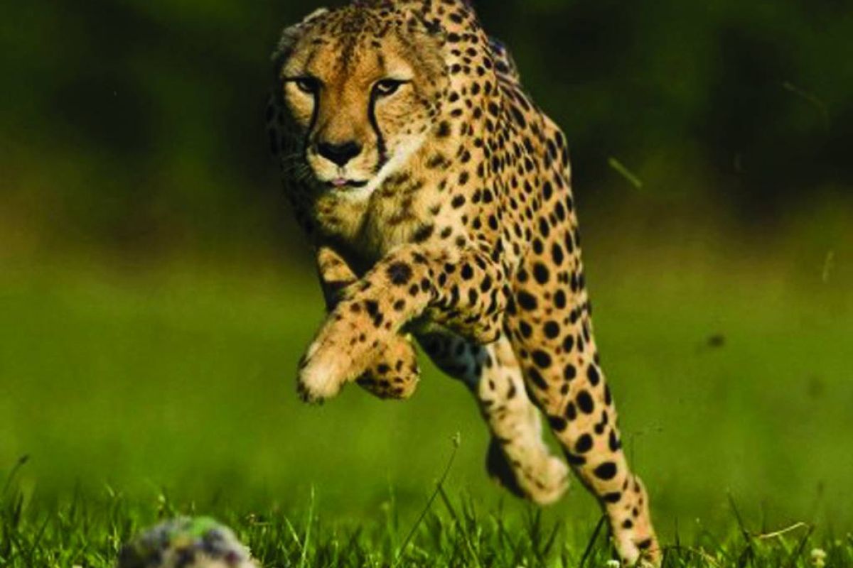 7ff177b1d55cec5879ff3649a2391dcc XL 34961d8d