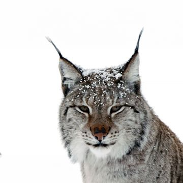 ΝΟΕΜΒΡΙΟΣ ΣΤΟ VIASAT NATURE