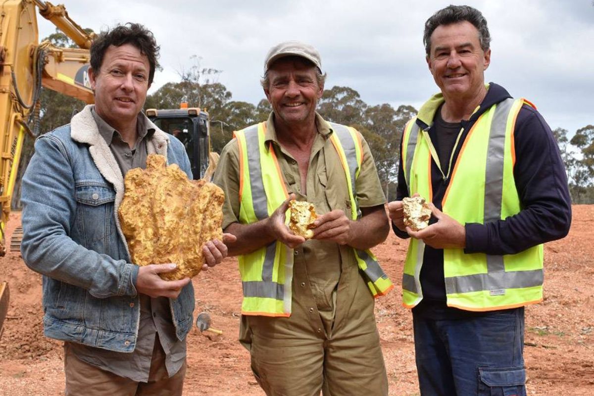 a7aaf8b6c2bdea0de24b14d0e9f129ea XL 3401be8d