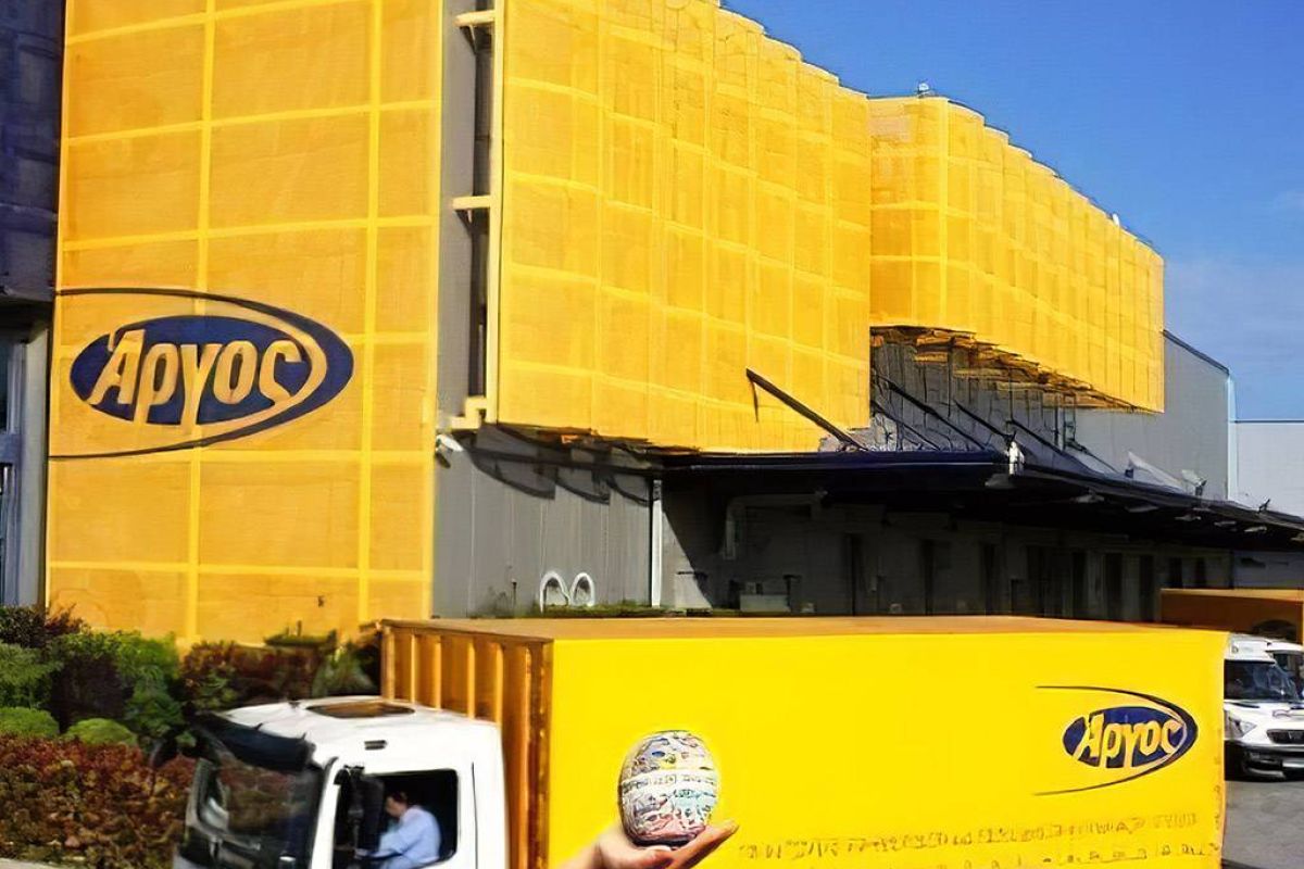 0453dd6613e3ec7d9c64e9bcd81575ee XL 35d9536f