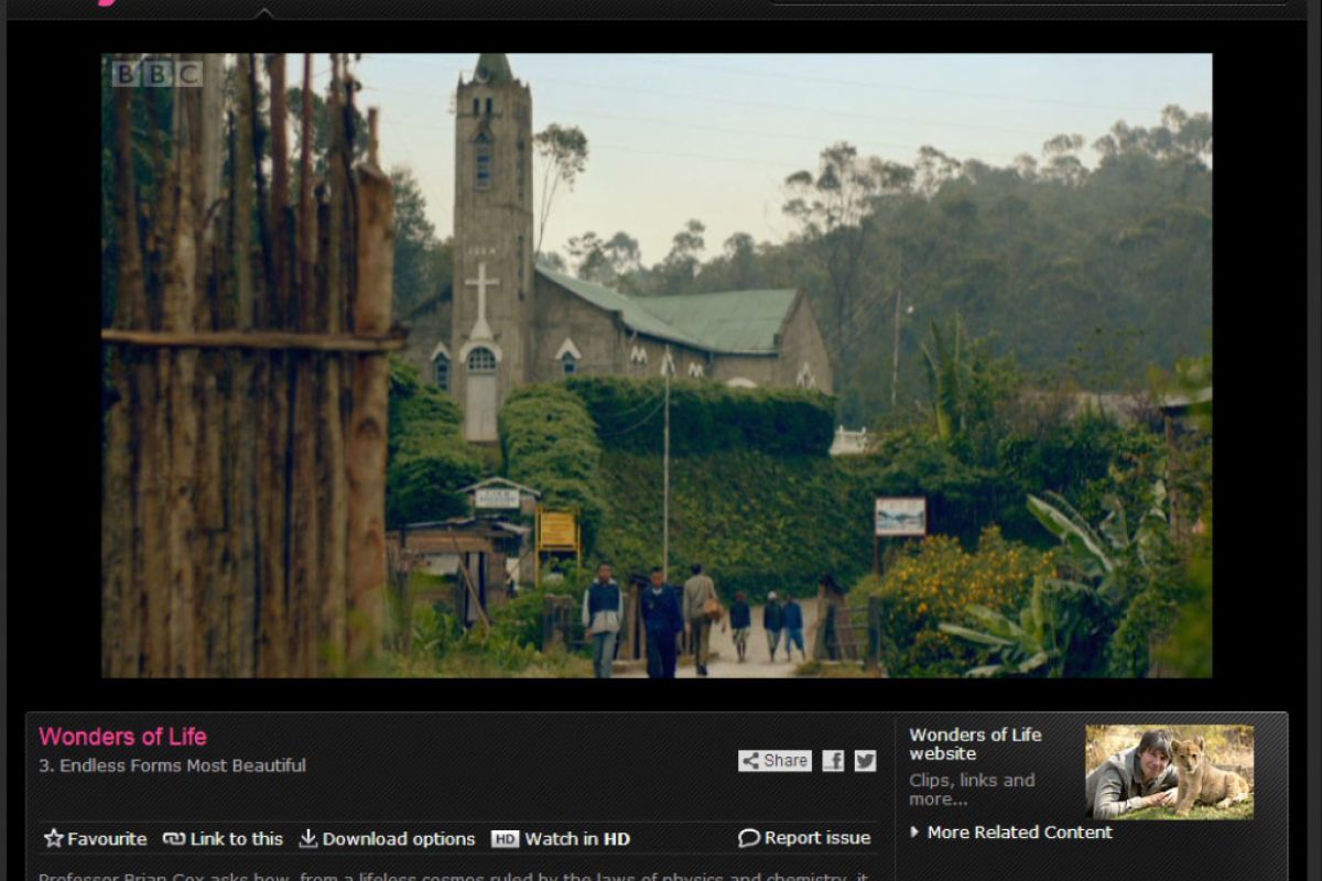 2f7bb693f9e8b1bbf875f0818996978d XL 35beafdb