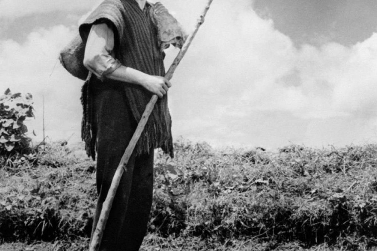 511fbff90c5365be0d992395bf21d04b XL 357d6b0c