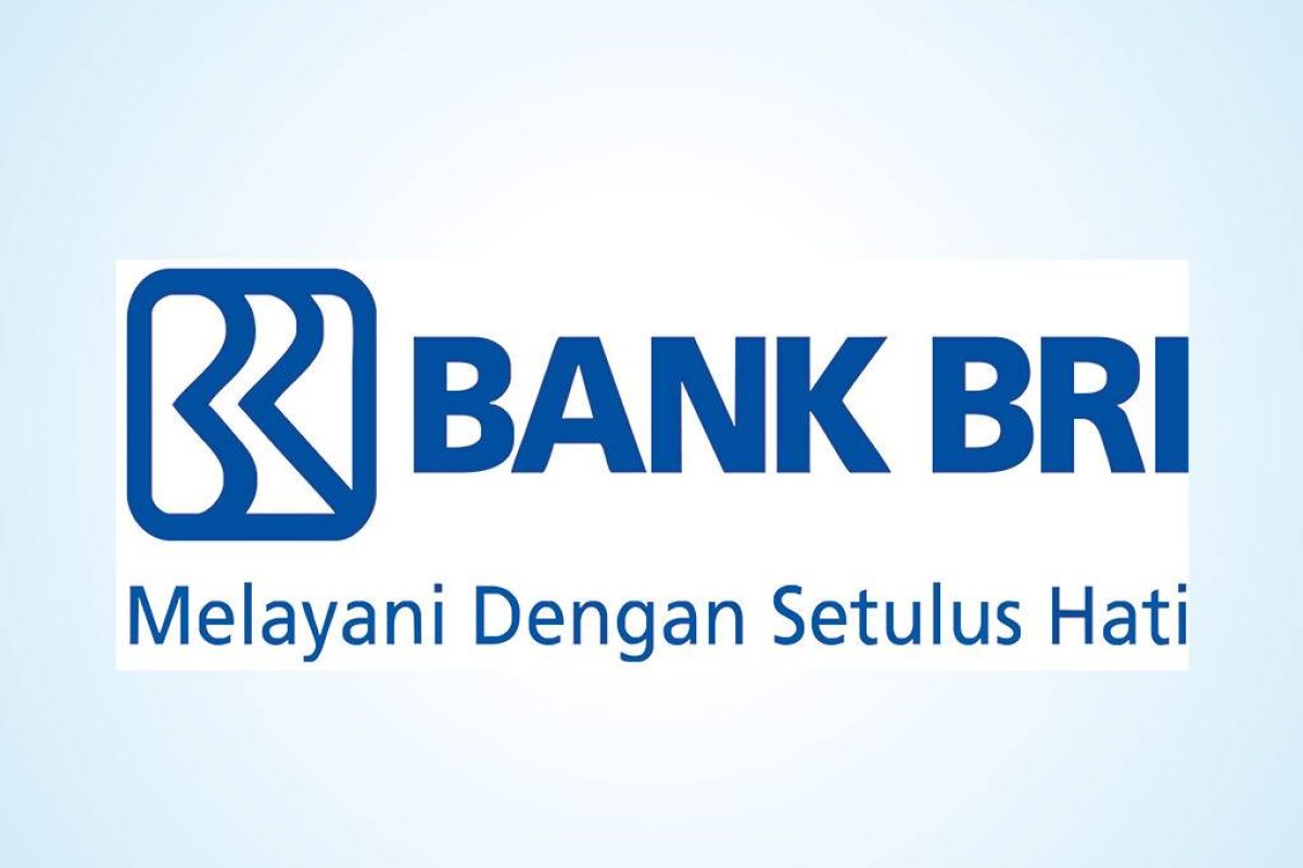 ec4898fbc1b44c0fd2eda9b4e9edf817 XL 355a7dc6