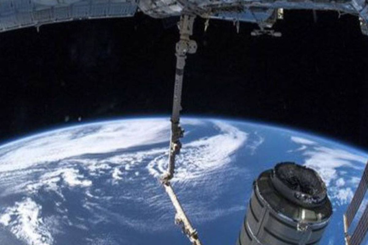 36bff1865596a03706d8bba90e87ea8c XL 36e28c2b