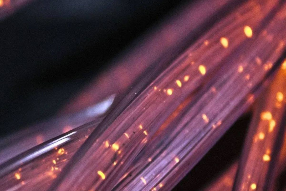 2fca9e350895bba375595b9f228dbe51 XL 371d28e5