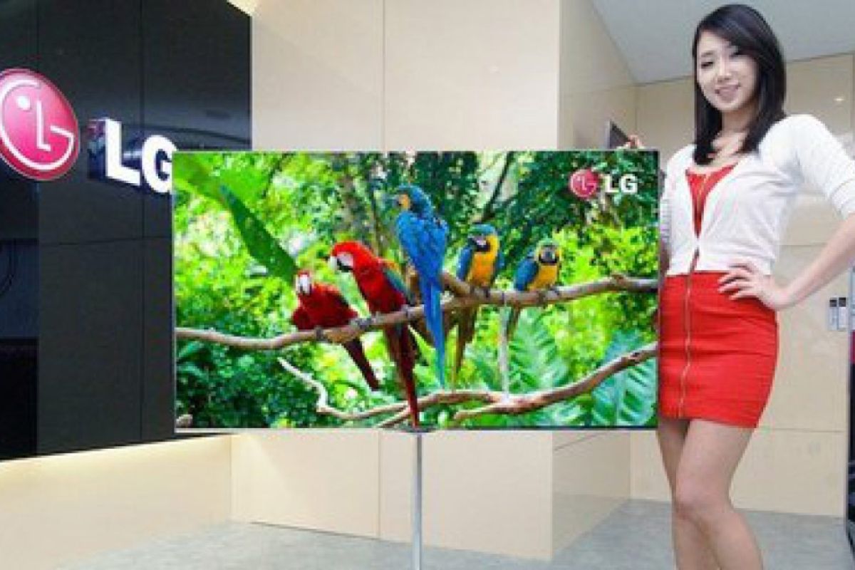 7c5847514b9d1d7a8d0c76ff28ff4011 XL 3787c220