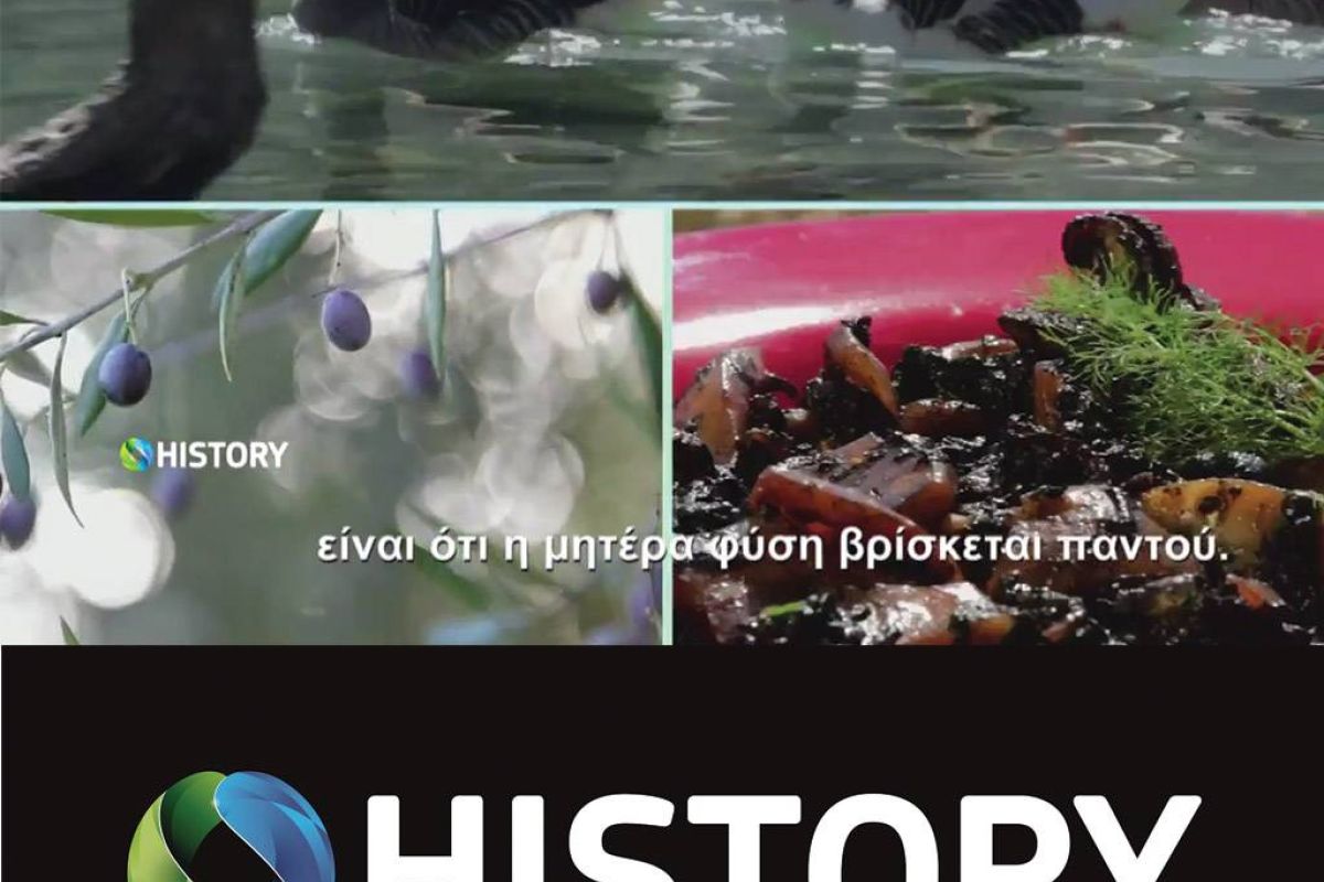 f93fd6e3c4be54bc2020c97c643f6a77 XL 37945715