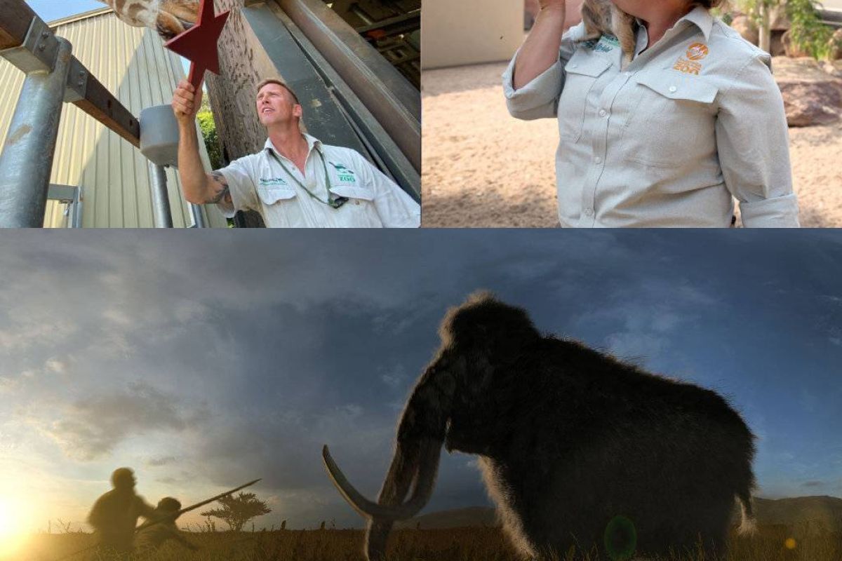 76818af20ec7bd62439ff0f4a36bdcdd XL 38d0c13e