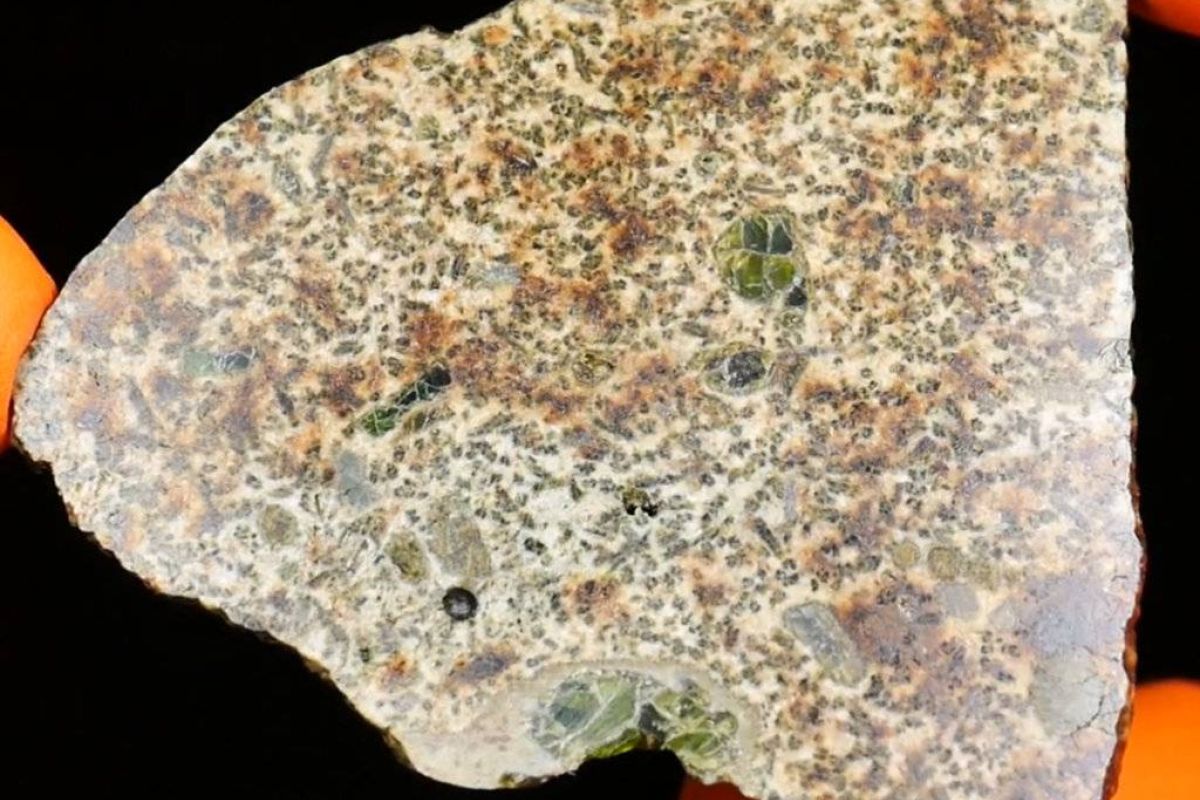 9d810119bb76ead1e3ed05b7b19130aa XL 38ba446e