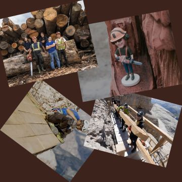 Περιπέτειες για χάρη της ξυλείας και οι καλύτερες στιγμές του Ιουλίου 2024 στο Viasat Explore