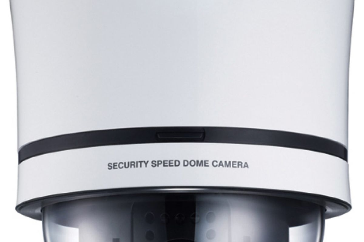 fc2fcece1904b34527bea4b57de71031 XL 388e9cde