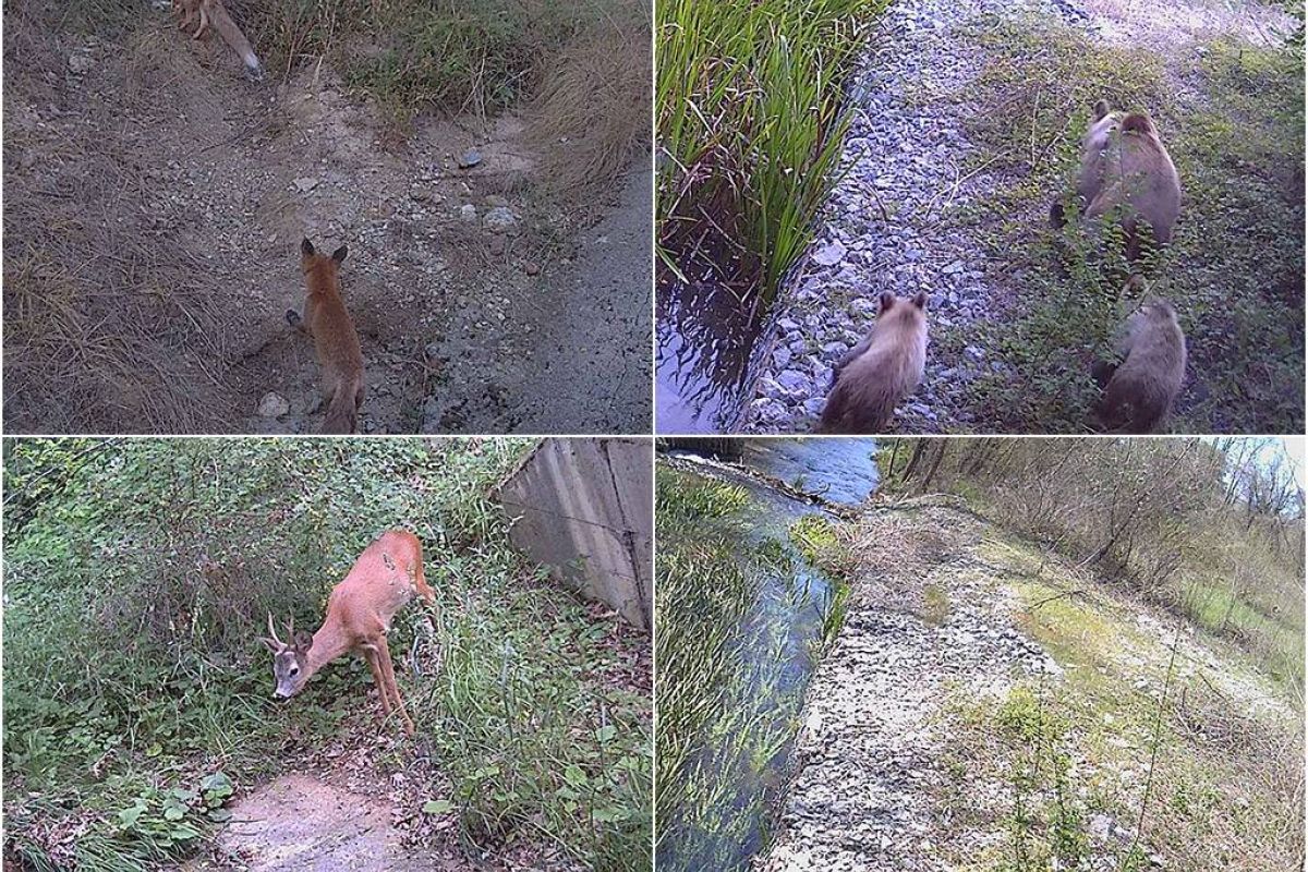 0e7d6152d2401f53a6211eb4a5c10ca7 XL 39218f65