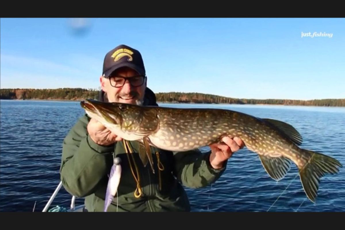 1024X1024 4 3a5727ab