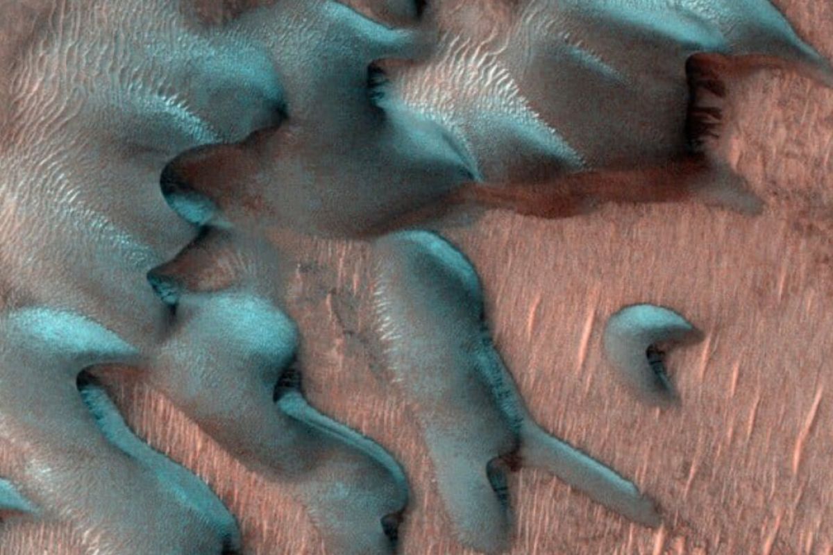 1024X1024 4 3af82fb2