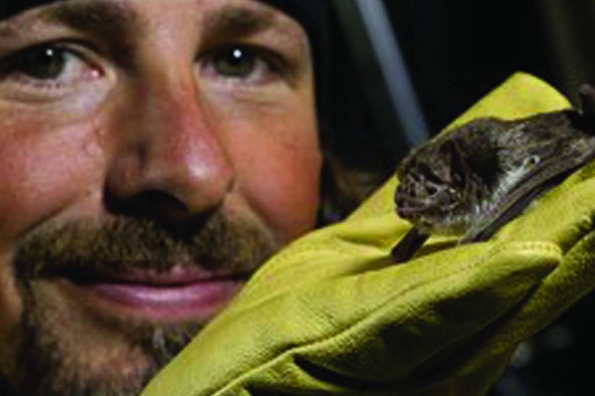 16a0e63a8a94e49f36d548af987758a5 XL 3bc732cd