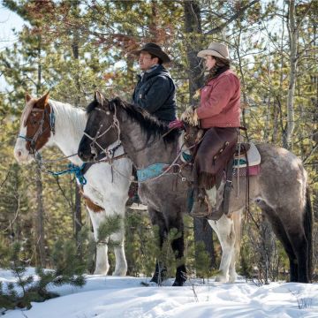 Δαμάζοντας άγρια άλογα: Μια συναρπαστική περιπέτεια στις άγριες ακτές του Καναδά