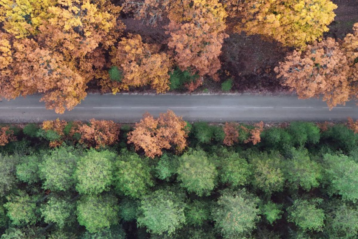 Untitled 1 133 3b1d2c73