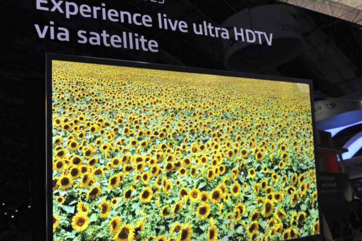 e78dcc23a66cc50cef1490ae228dfb47 XL 3b5a5baa