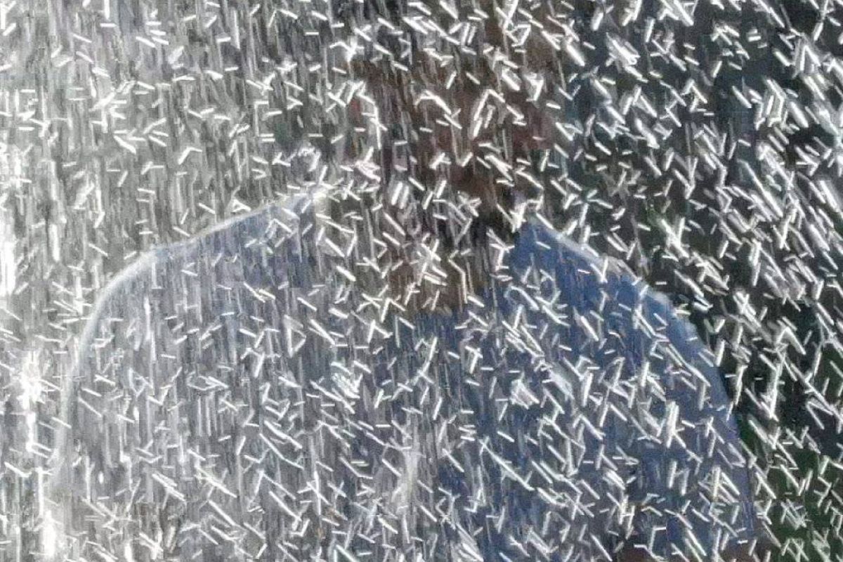 062c2fe10aa6bc258914f34db75f0734 XL 3cb72715