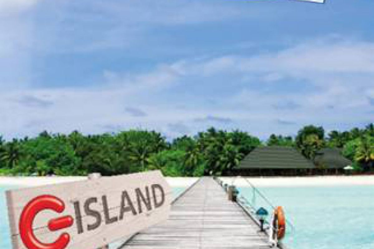 36fead4ff930ef5d71024063a6c9c075 XL 3d9de032