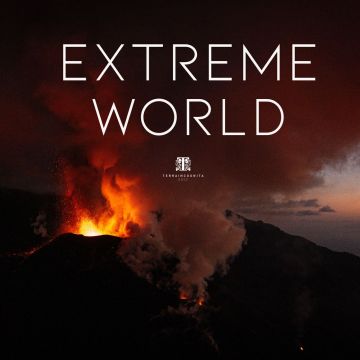 Ζωή στα άκρα: πώς η φύση επιβιώνει στις ακραίες συνθήκες